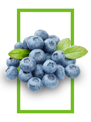 Blueberries - Keep Greener